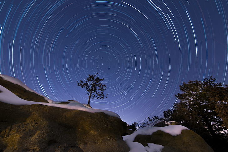 time lapse photo of tere, Star Trails, Lonely Tree, astrophotography
