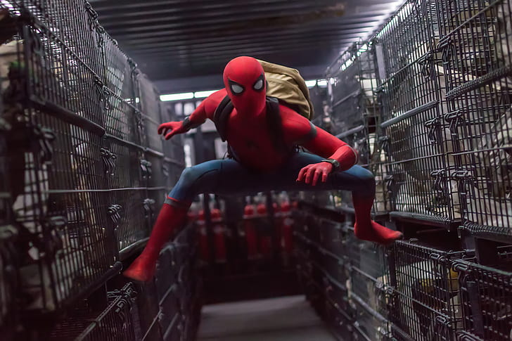 2017, Spider-Man: Homecoming, 5K, HD wallpaper