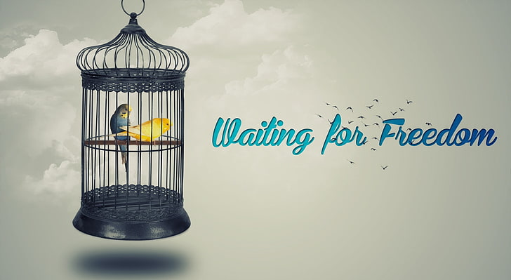 Waiting for Freedom, Aero, Creative, paradise, parimal, nakrani, HD wallpaper