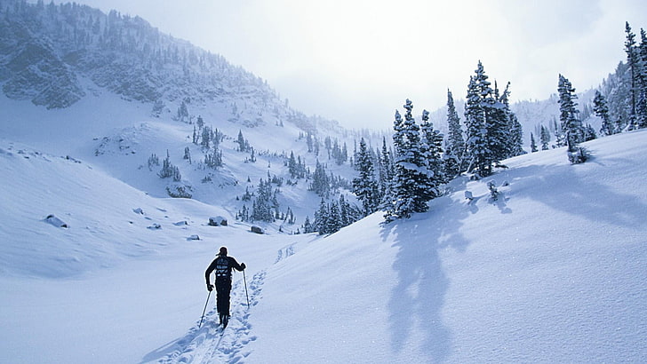 ski touring, landscape, snowy, mountaineering, tree, freezing, HD wallpaper
