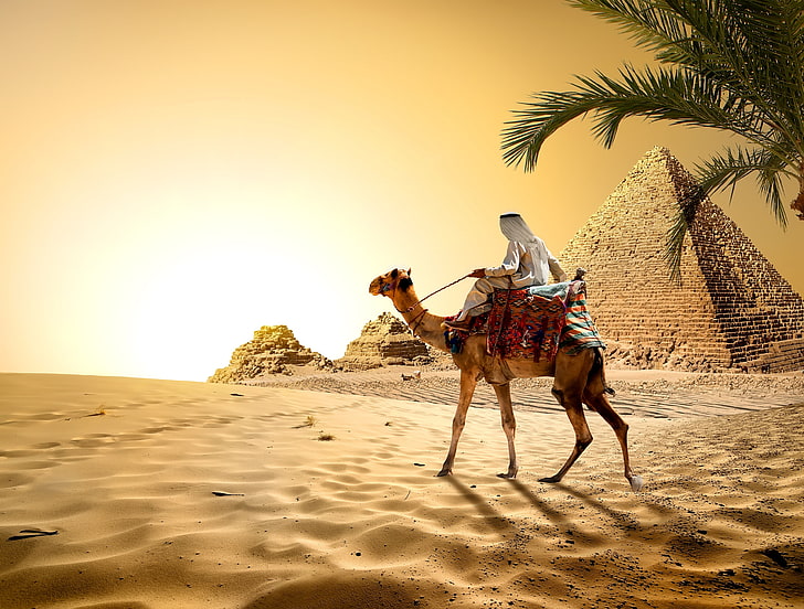 man riding camel wallpaper, sand, the sky, the sun, Palma, stones, HD wallpaper