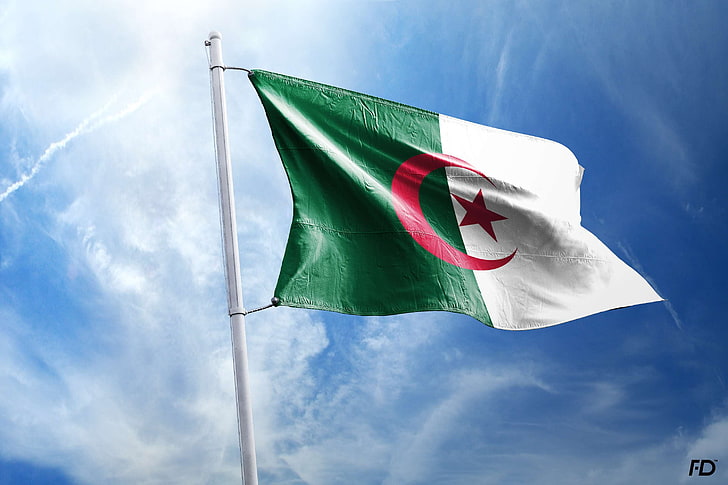 algeria, algiers, arabic, fatehdzairi, flag, green red white, HD wallpaper
