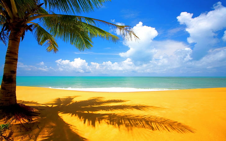 sea, palm trees, clouds, beach, HD wallpaper
