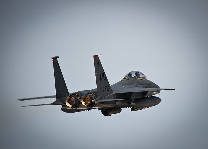 airplane, military, air force, aircraft, McDonnell Douglas F-15E Strike Eagle