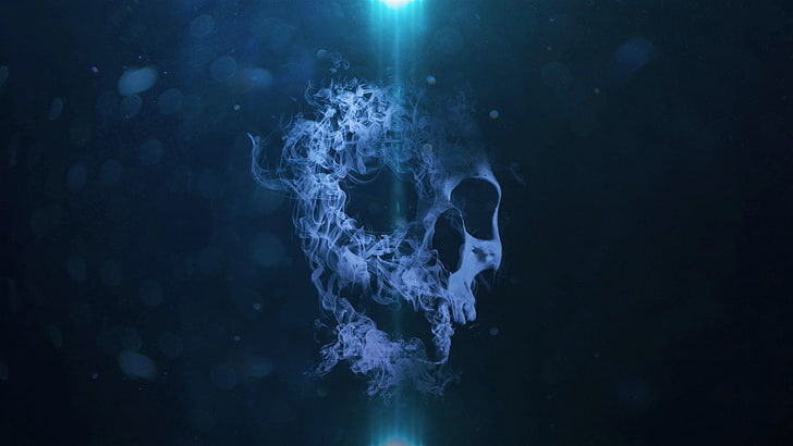 skull, black background, water, underwater, no people, nature