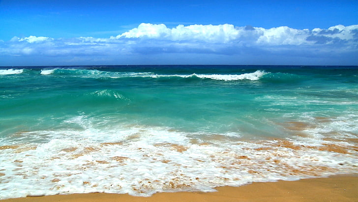 Hd Wallpaper Hawaii Windows Backgrounds Sea Water Wave Sport Surfing Wallpaper Flare