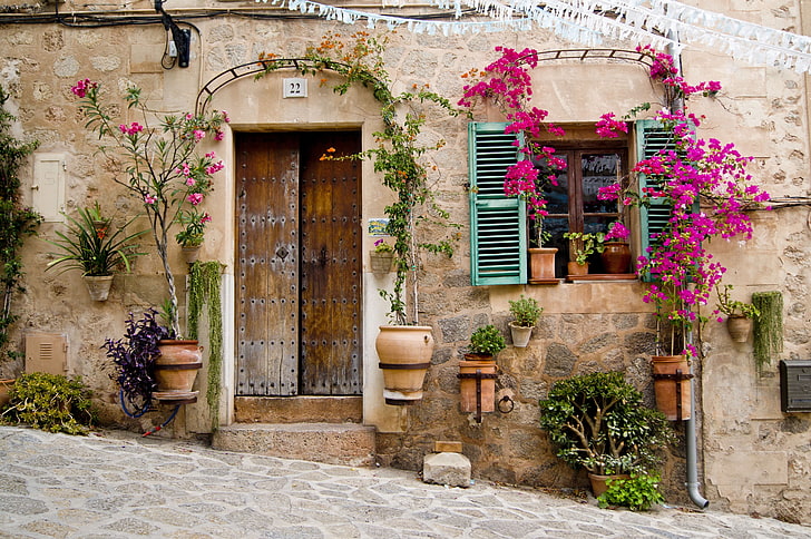 door, flowers, bougainvillea, flowerpot, plants, Provence, stone