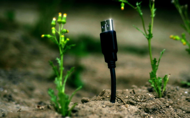 black mini USB cable, technology, plants, macro, humor, nature, HD wallpaper