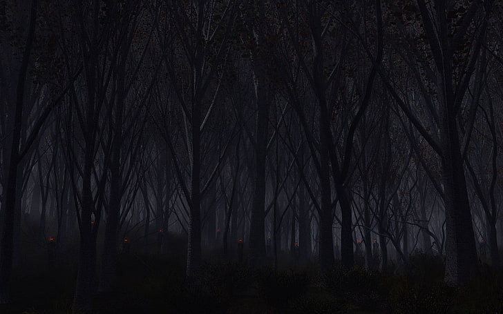 Download Wandering Through The Dark Forest Wallpaper | Wallpapers.com