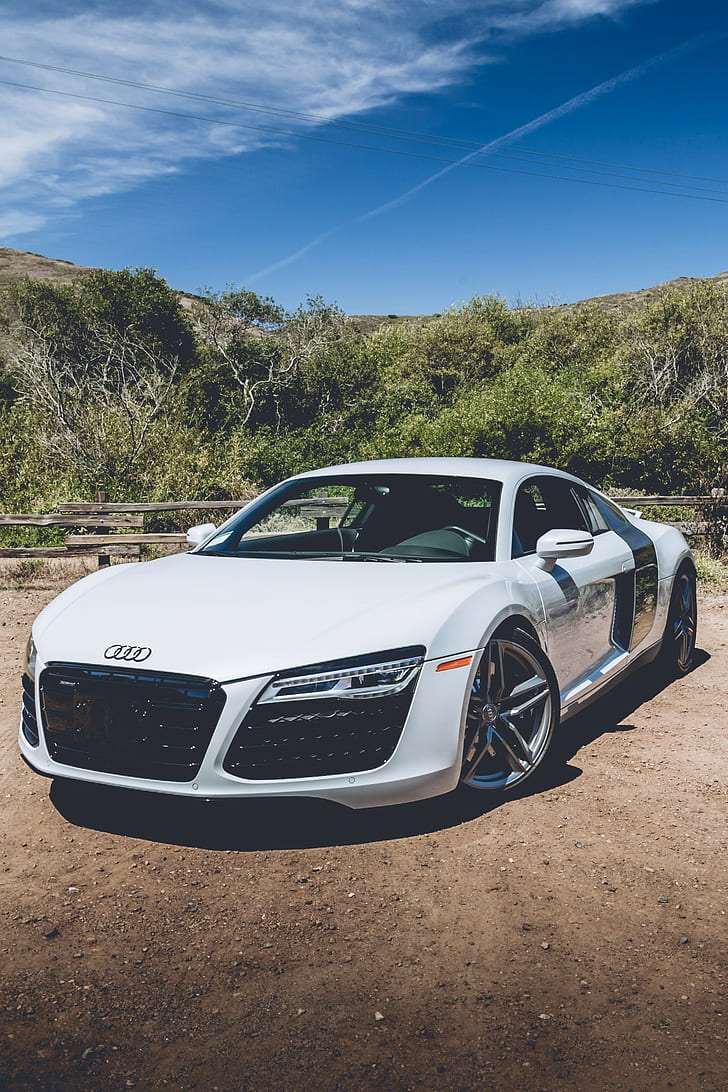 car, Audi R8, Bushes, German cars, sky, front angle view, Audi R8 Type 42