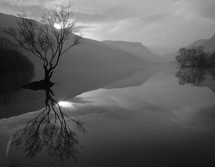 silhouette bare tree grayscale photography, Padarn, Sunrise  lake