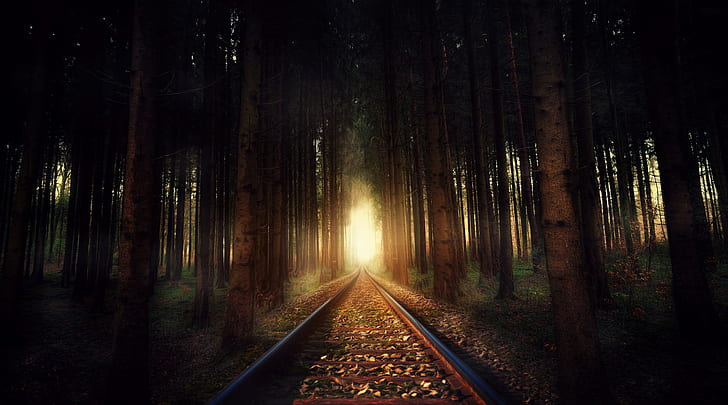 dark, railway, sunlight, forest, trees, HD wallpaper