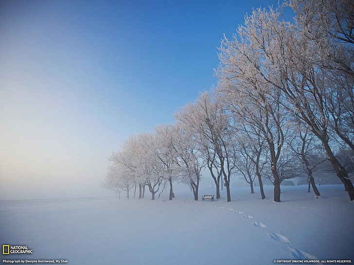 landscape, National Geographic, winter, nature, cold temperature, HD wallpaper