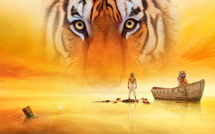 Life of Pi Movie, mammal, representation, one animal, sky, orange color, HD wallpaper
