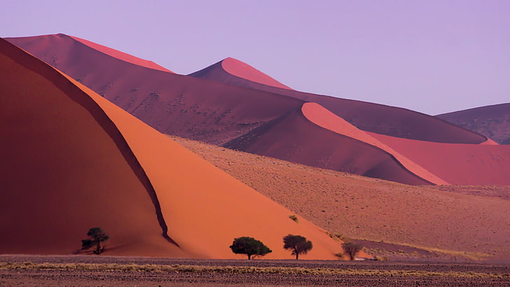 brown dessert, landscape, desert, dune, Namibia, scenics - nature, HD wallpaper