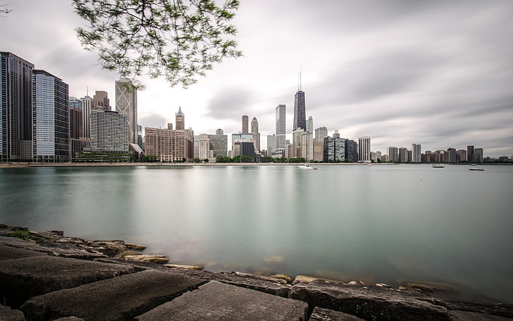 cityscape, Chicago, Sears Tower, overcast, architecture, built structure