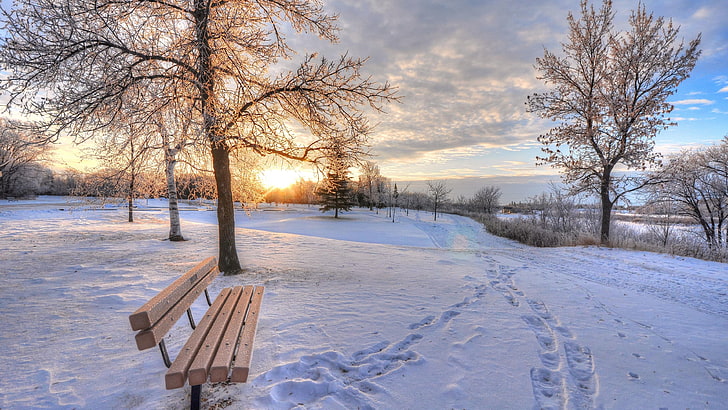 bench, winter, park, snow, cloud, footprints, dawn, sunrise, HD wallpaper