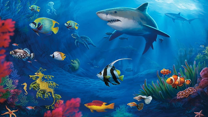 shark, fishes, marine, fantasy art, fauna, underwater, coral reef fish, HD wallpaper