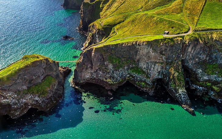 grass, aerial view, Ireland, nature, coast, green, sea, path