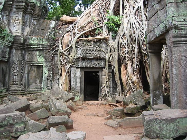 Angkor Wat Architecture Root and Stone Architecture Religious HD Art