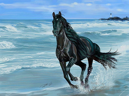 Black Horse Photos, Download The BEST Free Black Horse Stock Photos & HD  Images