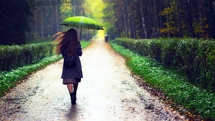 women, brunette, path, umbrella, one person, walking, protection, HD wallpaper