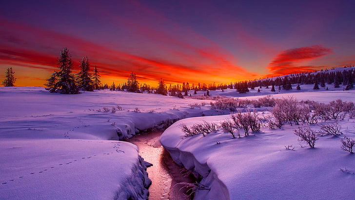winter, sky, snow, stream, freezing, morning, sunrise, horizon, HD wallpaper