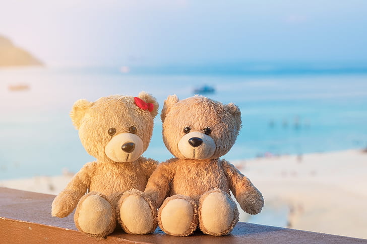 HD wallpaper: sand, sea, beach, love, toy, bear, pair, two, romantic, couple  | Wallpaper Flare