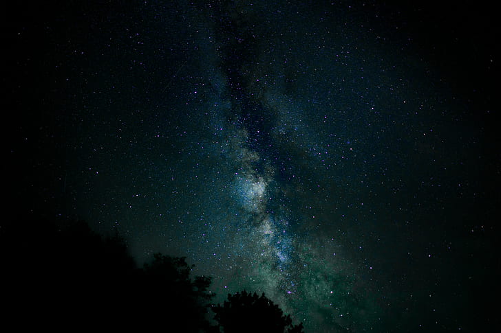 nature, trees, stars, night sky, galaxy, HD wallpaper