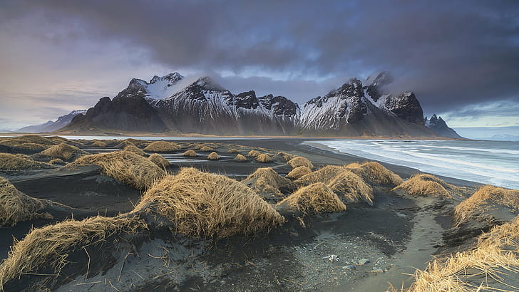 landscape photo of dried grass beside beach line, Sands, Iceland