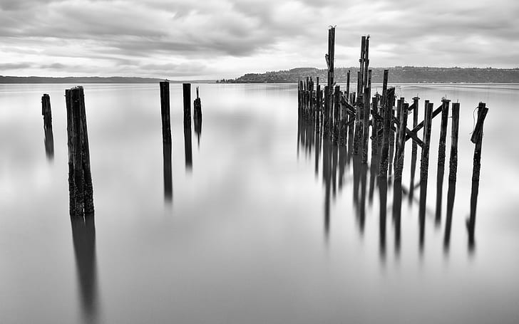gray sticks on body of water, Stick Together, long exposure, black and white