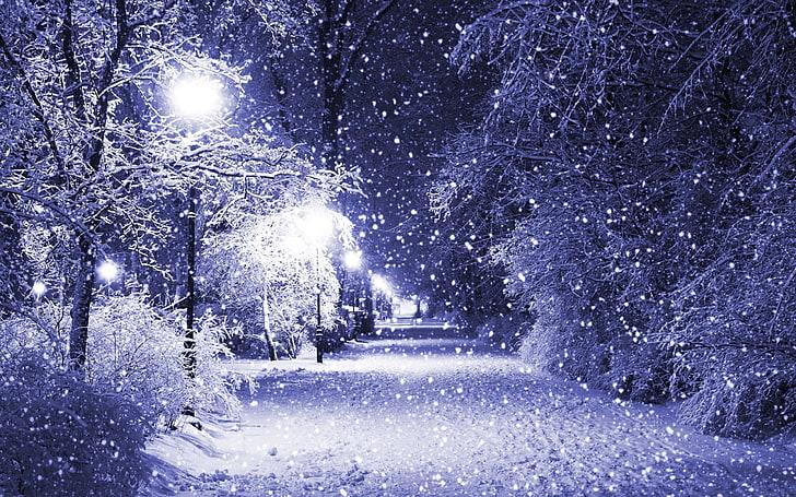 Snowing at night  Winter scenery, Snow night, Winter landscape