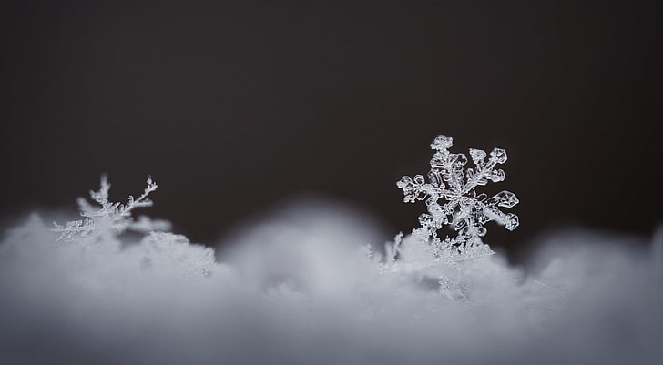 HD wallpaper: Real Snowflake Magnified, Aero, Macro, Winter, White, Frozen  | Wallpaper Flare