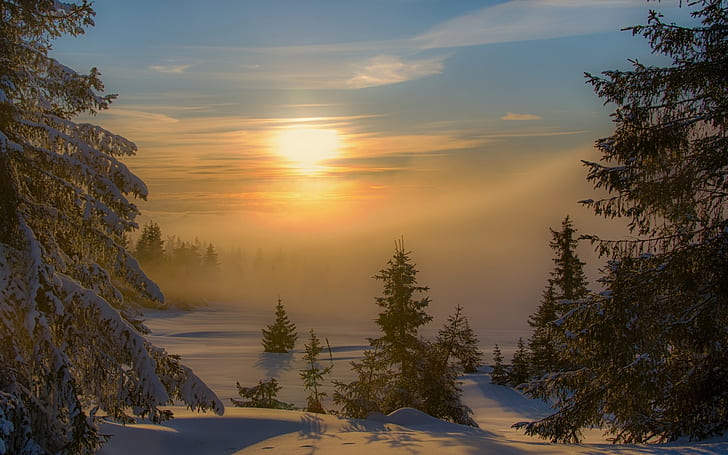 Landscape, Nature, Sunset, Winter, Mist, Forest, Snow, Trees, Cold, HD wallpaper