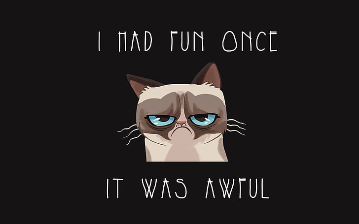 beige and black cat with text overlay, humor, Grumpy Cat, cartoon