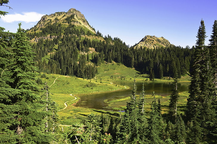 fir, grass, lake, mount, mountains, national, nature, park, HD wallpaper