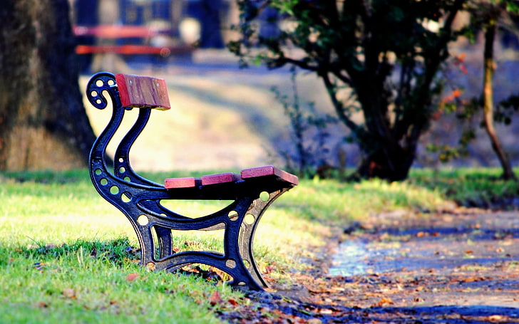 pink and blue chair with metal base, greens, autumn, grass, leaves, HD wallpaper