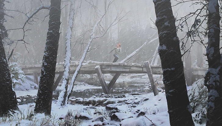 forest, winter, concept art, snow, trees, video games, artwork, HD wallpaper