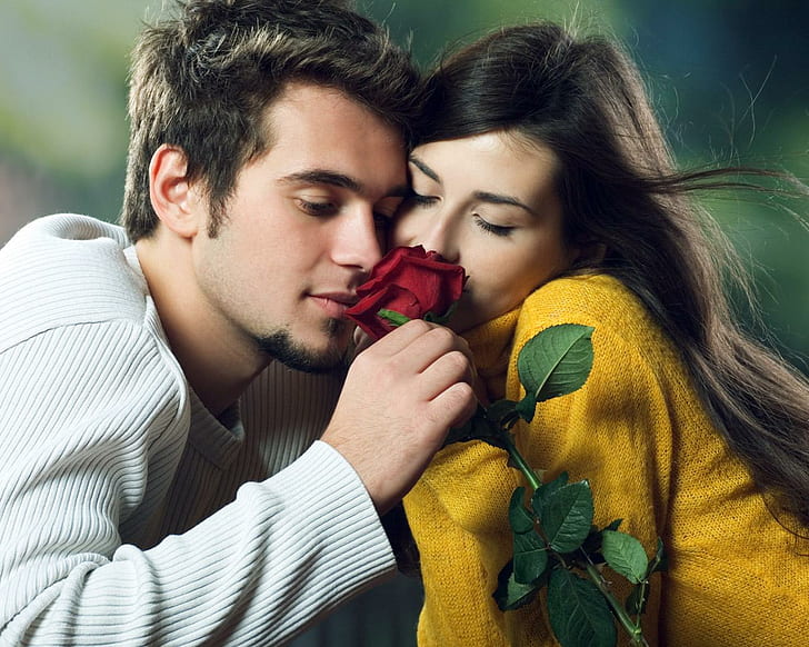 couple, romance, love, roses, hugs, white sweater men's, HD wallpaper