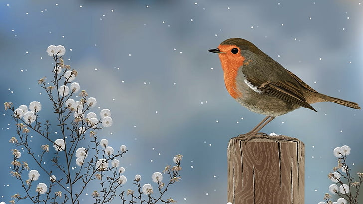 bird, snowing, winter, artwork, artistic, animals