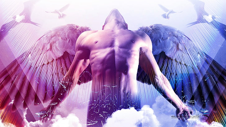 angel, Axwell, birds, Eternal Sunshine Of The Spotless Mind, HD wallpaper