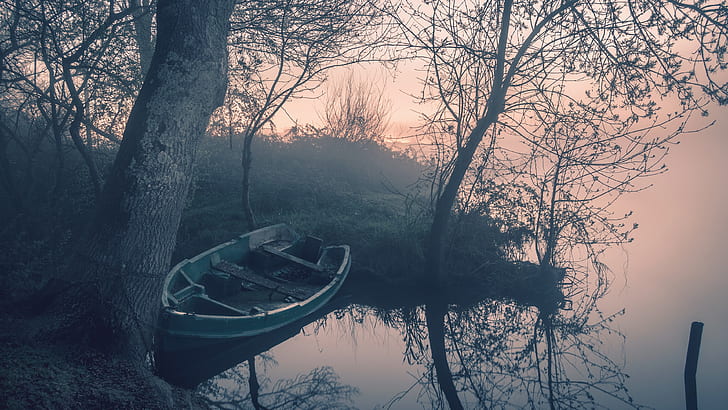 boat, reflection, mist, tree, dawn, lake, morning, lakeside