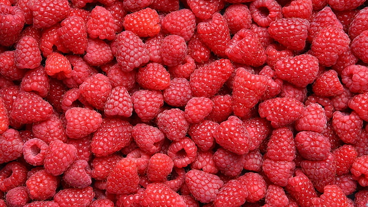 raspberry lot, food, raspberries, fruit, red, full frame, wellbeing
