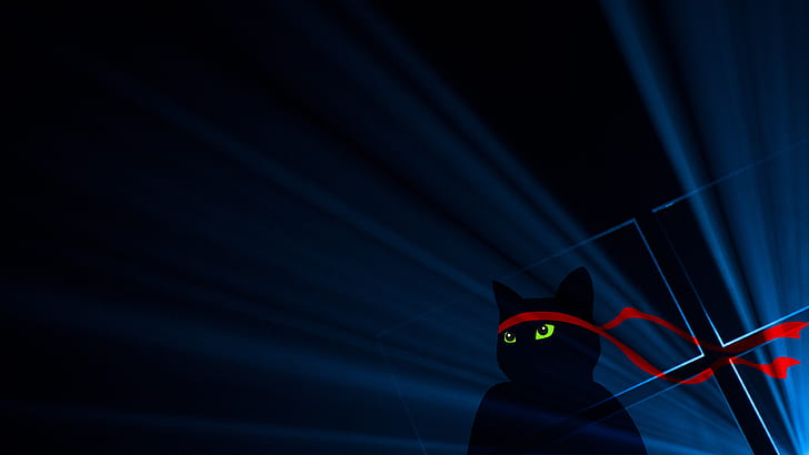 4K, Anniversary update, Dark, Ninja Cat, Windows 10 HD wallpaper