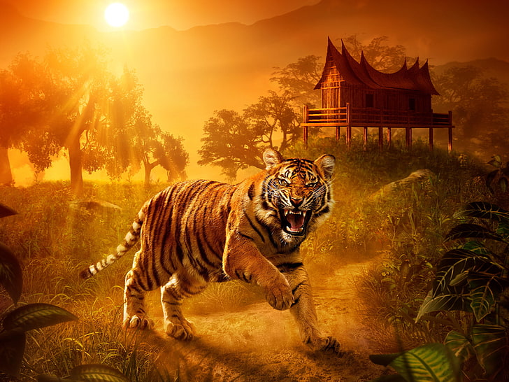 Angry tiger 1080P, 2K, 4K, 5K HD wallpapers free download | Wallpaper Flare