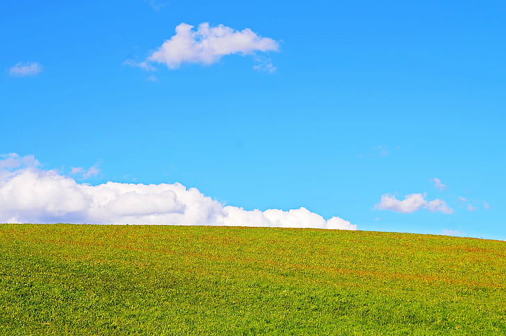grass field during daytime, sky, clouds, green  blue, desktop, HD wallpaper