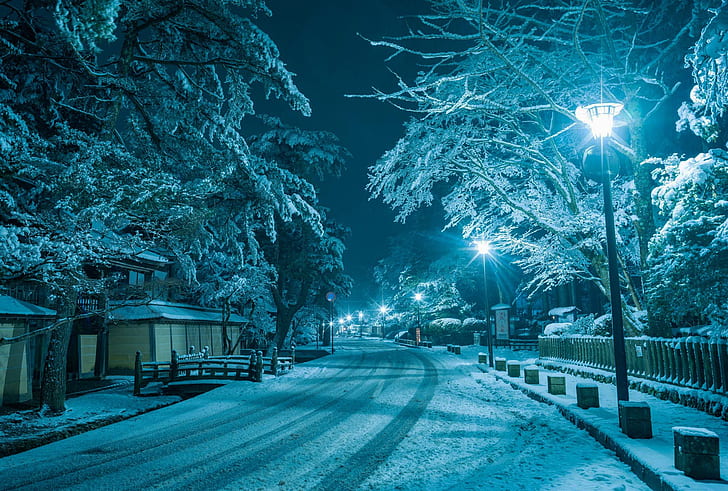 winter, road, snow, night, the city, house, street, lights