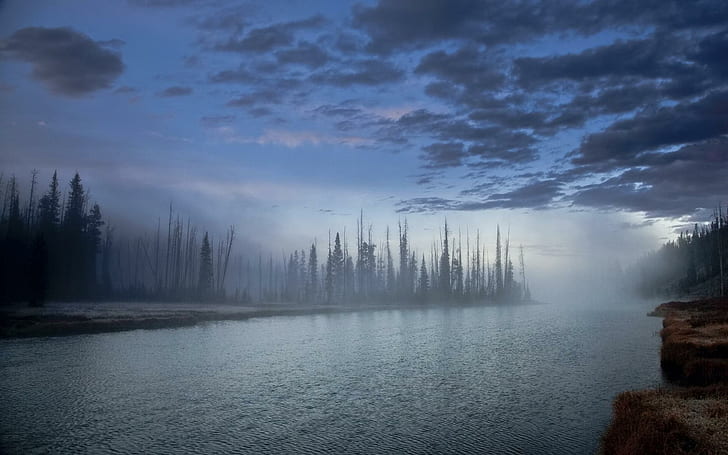 Mystical River At Dusk, forest, shore, clouds, mist, nature and landscapes