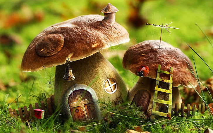 mushroom, house, nature, digital art, fungus, plant, vegetable, HD wallpaper