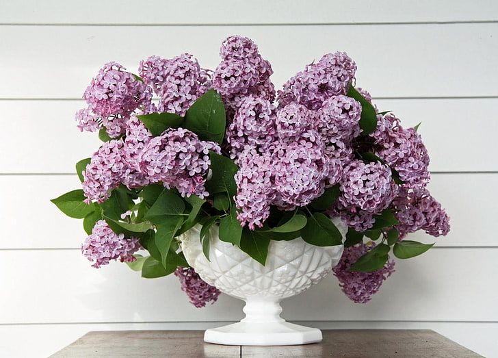 purple petaled flowers centerpiece, lilac, spring, vase, leaves
